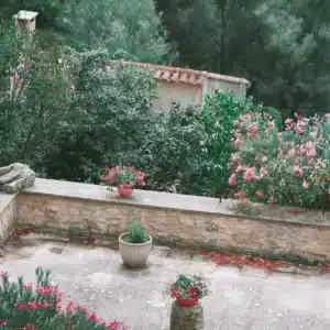 Diseño y Mantenimiento de Jardinería que Aumenta el Valor de tu Hogar o Empresa