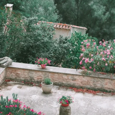 Diseño y Mantenimiento de Jardinería que Aumenta el Valor de tu Hogar o Empresa