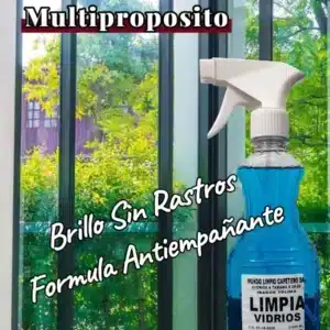 Limpiavidrios