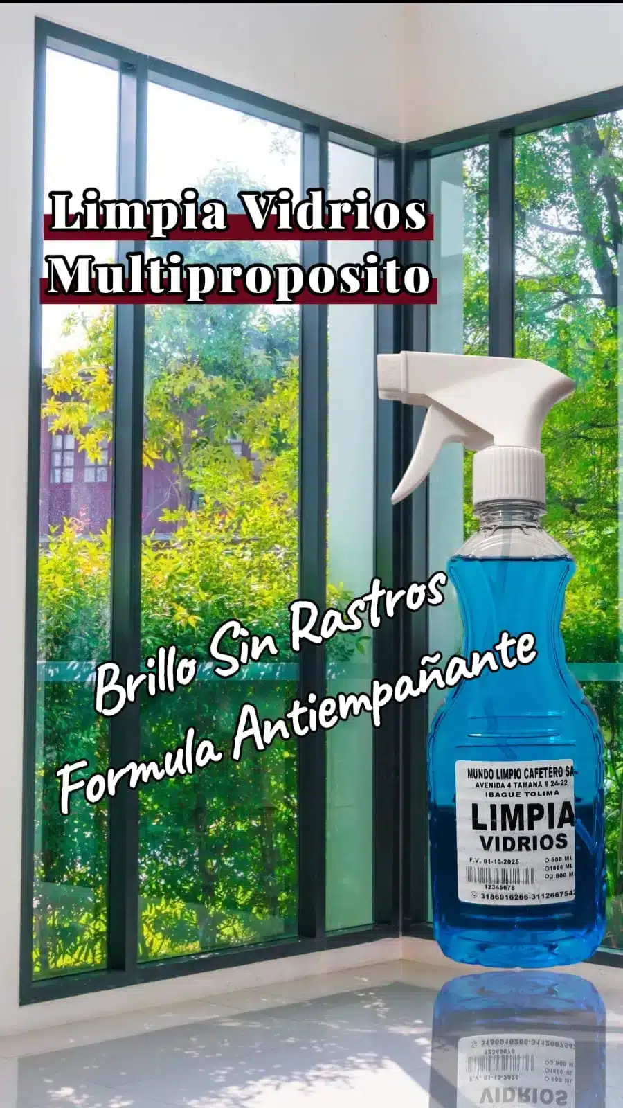 Limpiavidrios