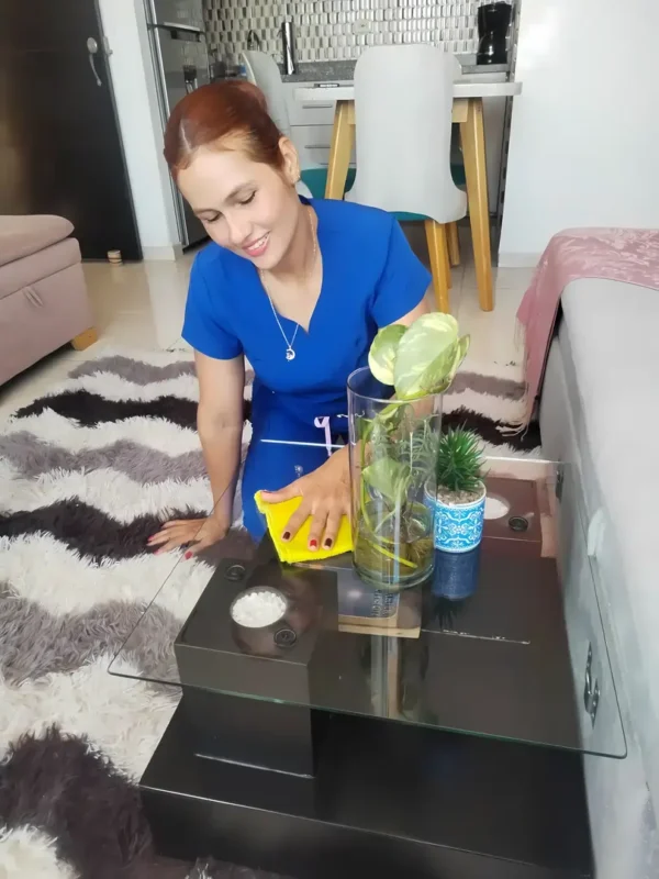 Aseo Premium para tu Hogar: Limpieza Profesional y Detallada
